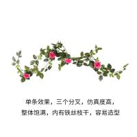 uploads/erp/collection/images/Home Garden/CongDing/XU0612067/img_b/XU0612067_img_b_2